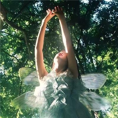 贺先生的隐婚蜜爱